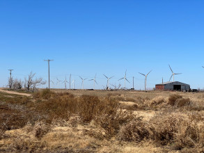 Turbines and cotton